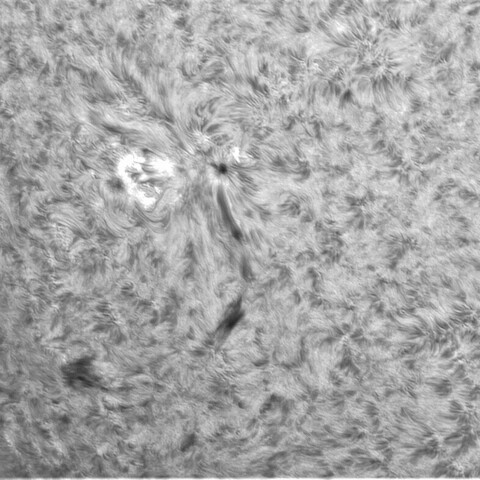 7月30日の太陽➂ (3068)