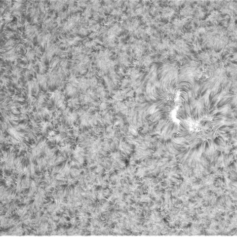 7月30日の太陽② (3067)