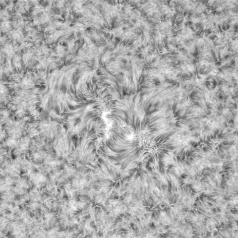 8月1日の太陽➂ (3067)