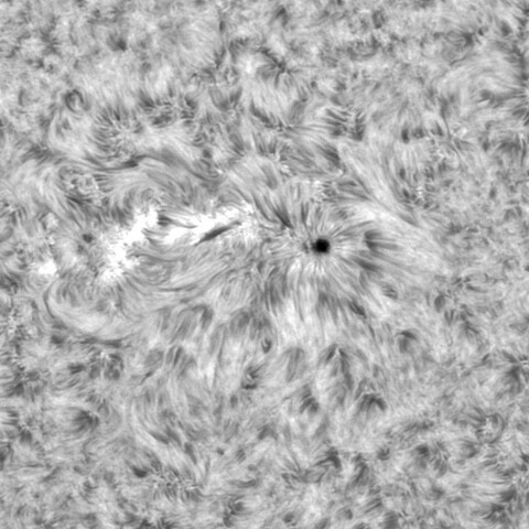 8月1日の太陽⓶ (3068)