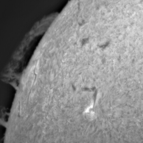 8月2日の太陽➂ (3070)