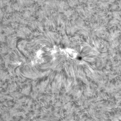 8月2日の太陽②（3068） 