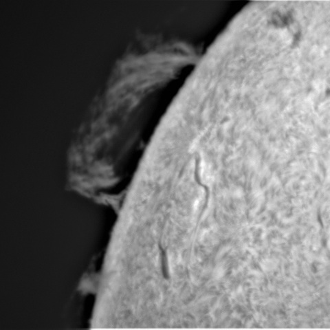 8月3日の太陽➂（プロミネンス　3070） 