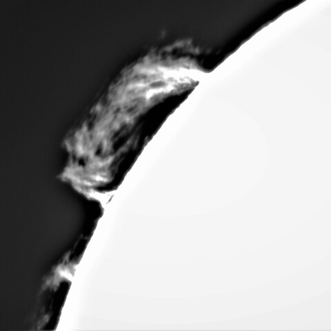 8月3日の太陽⓶（プロミネンス） 