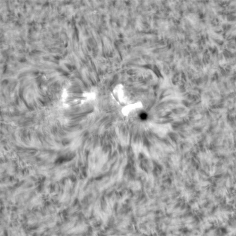8月3日の太陽①（3068） 