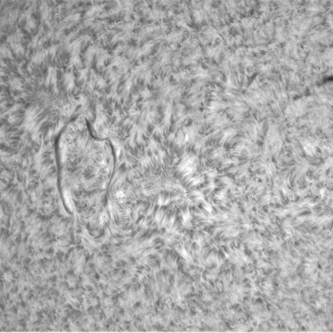 8月5日の太陽①（北東面） 