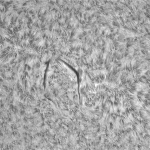8月8日の太陽⓶（北半球中央部　（3070）） 