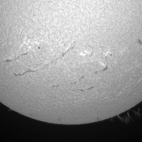 8月10日の太陽①（南半球）