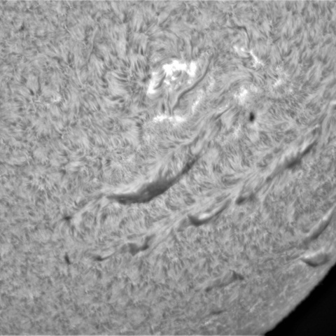 8月14日の太陽②（3079，3074，3071）