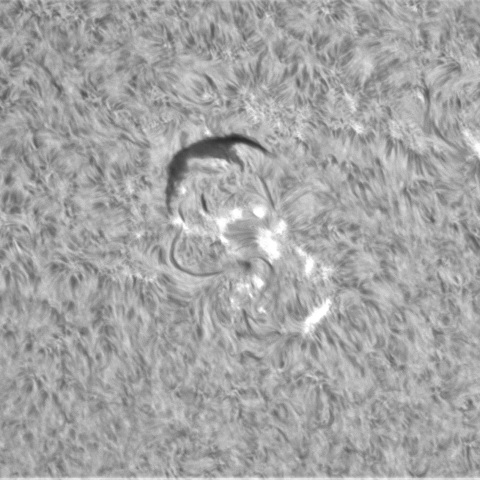 8月14日の太陽➂（3076）