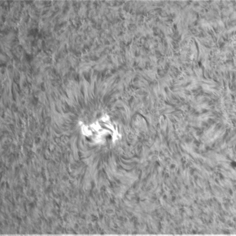 8月14日の太陽④（3081）