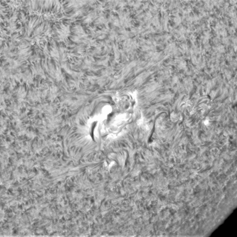 8月18日の太陽④（3078、3083）