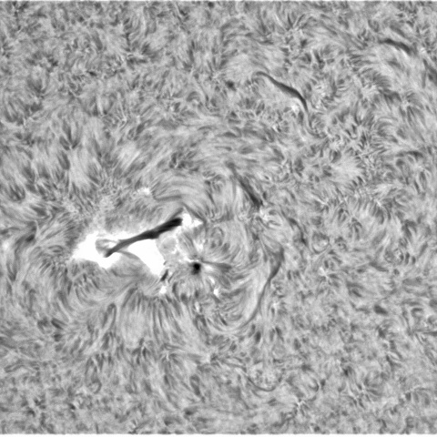 8月18日の太陽➂（3081）
