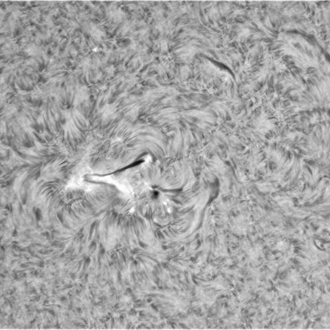8月18日の太陽⓶（3081）