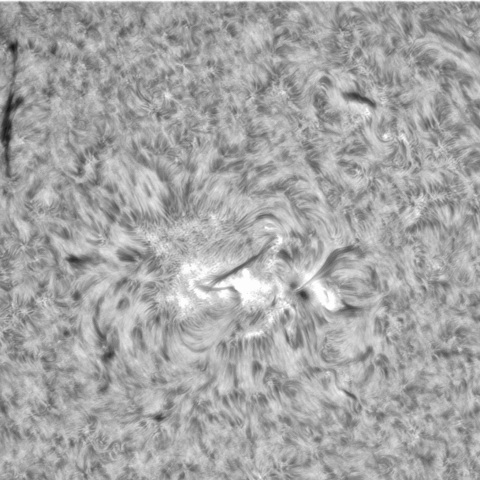 8月19日の太陽⓶（3081）