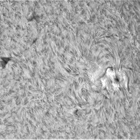 8月21日の太陽（3081）