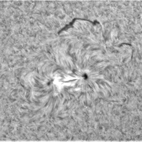 8月23日の太陽⓶（3085）