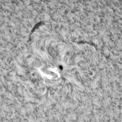 8月25日の太陽⓶（3085）