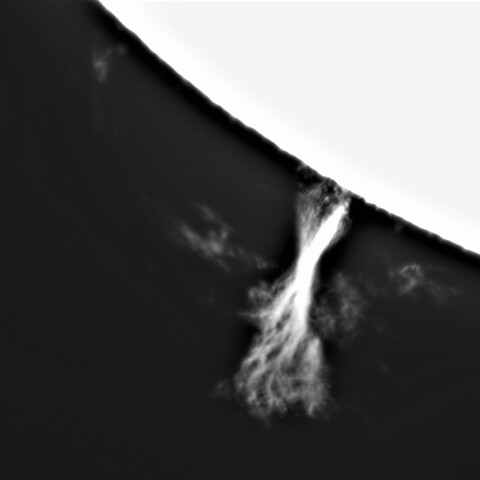 8月27日の太陽①（プロミネンス）