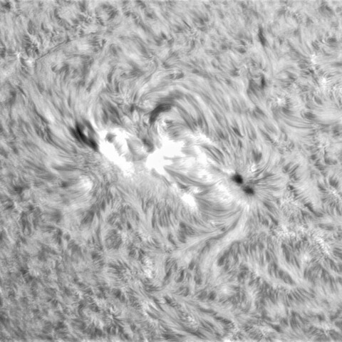8月28日の太陽①（3089）