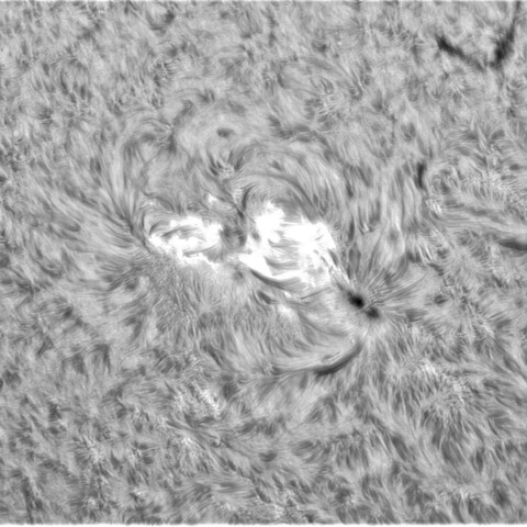 8月29日の太陽➂（3089）