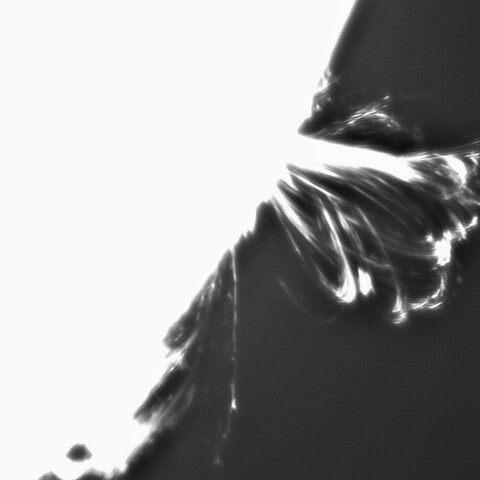 8月29日の太陽⓶（ポストフレアループⅠ　3088）