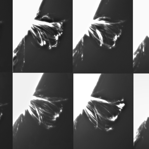 8月29日の太陽①（ポストフレアループⅠ　3088）