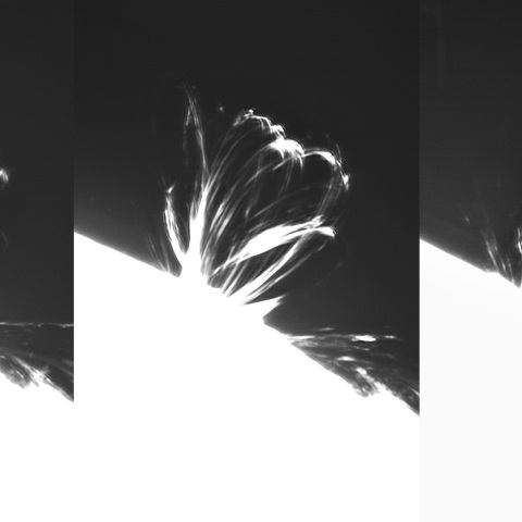 8月29日の太陽（3088　ポストフレアループⅠ　縦位置）