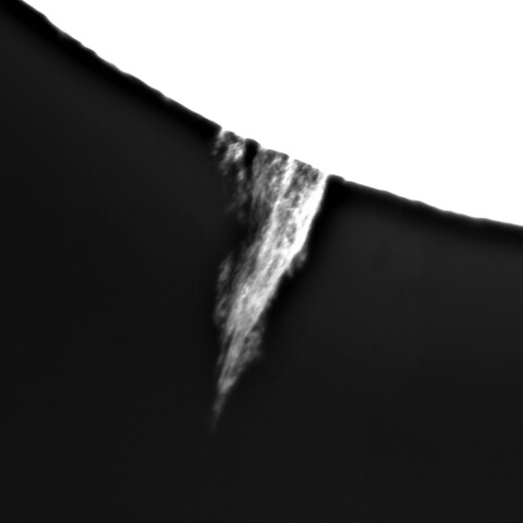 8月30日の太陽①（プロミネンス）