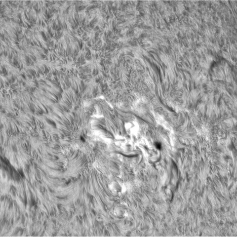 9月13日の太陽⓶（3098，3101）