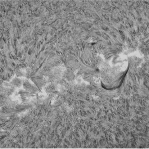 9月26日の太陽②（3107，3105 正面）