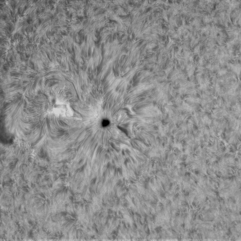9月26日の太陽➀（3110）