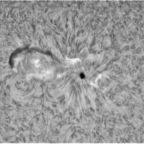 9月29日の太陽 ②（3110）