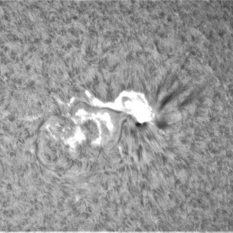 10月 2日の太陽（3113,  3110フレア）