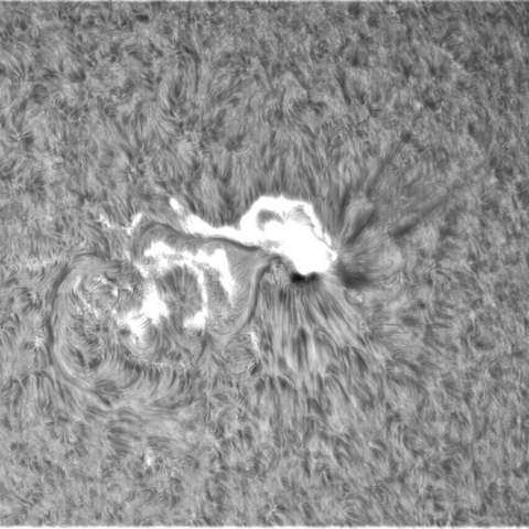 10月 2日の太陽（3110フレア M8.7  サージ）