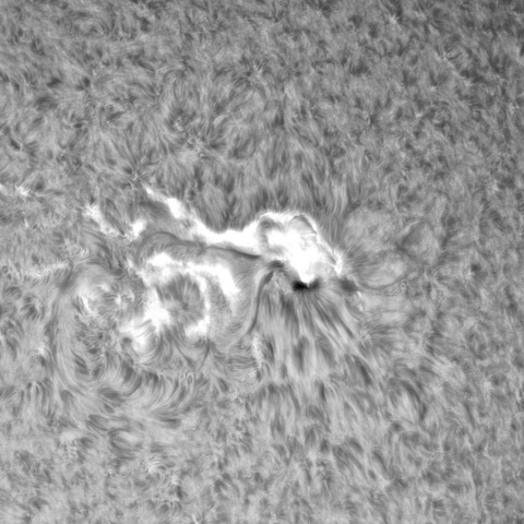 10月 2日の太陽（3110フレア M8.7）