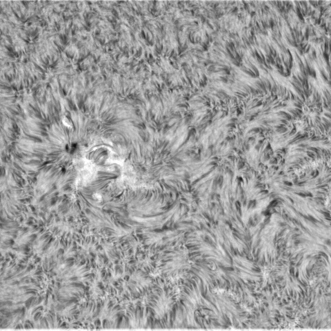 10月 11日の太陽➂（3119）