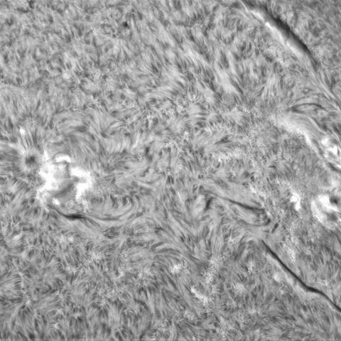 10月 12日の太陽➀（3119,3116,3112）