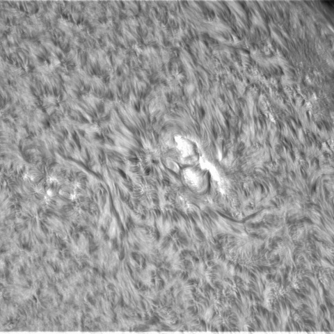 10月 14日の太陽➂（3119）