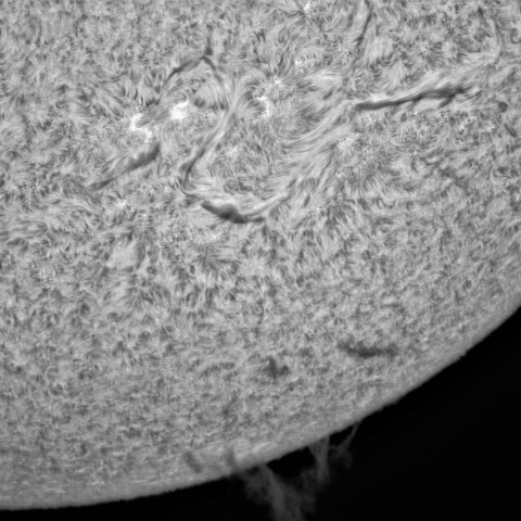 10月 19日の太陽②（3125，3124）