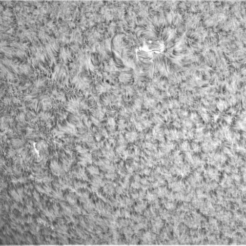 10月20日の太陽➂（南東面　3126）