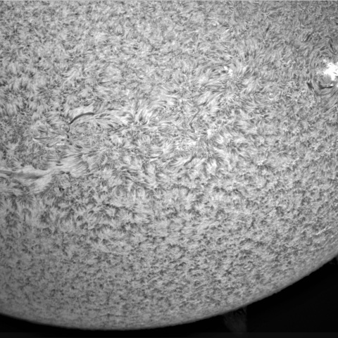 10月24日の太陽➀（南半球3130，3127，3126）
