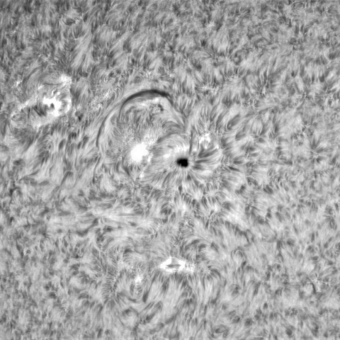 10月28日の太陽➀（3133，3131）