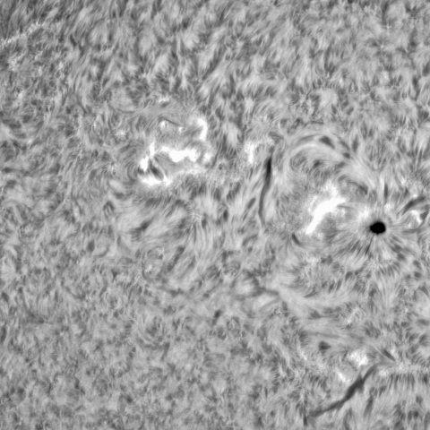 10月29日の太陽②（3135，3133，3131，3134）