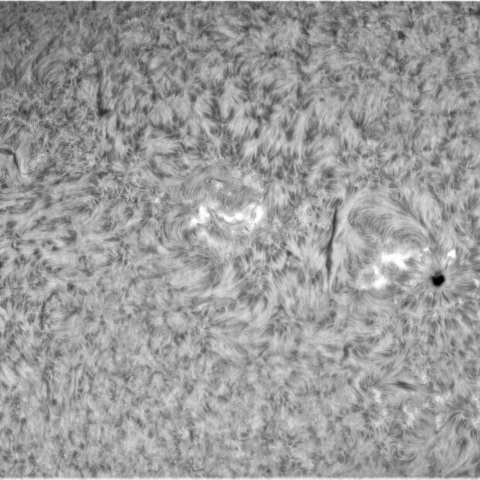 10月30日の太陽②（3135，3133，3131，3134）