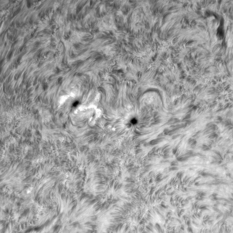 10月31日の太陽②（3135）