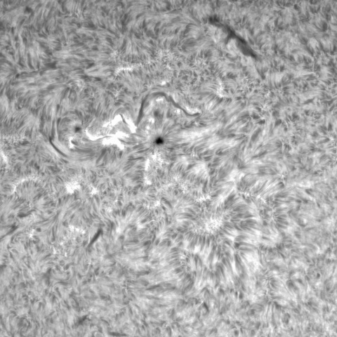 11月2日の太陽➂（3135）