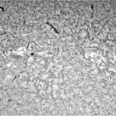 11月2日の太陽②（3135、3133、3131）