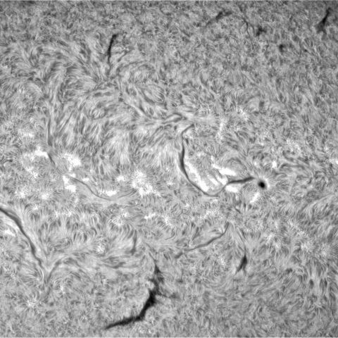 11月5日の太陽➂（3135）