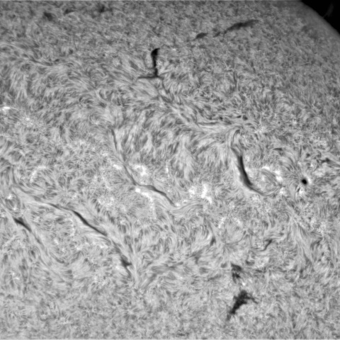 11月6日の太陽②（北西面、3135）